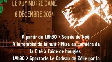 PETITES CITES D ANJOU EN LUMIERE 2024 - 10 - @LR