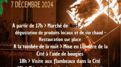 PETITES CITES D ANJOU EN LUMIERE 2024 - 12 - @LR