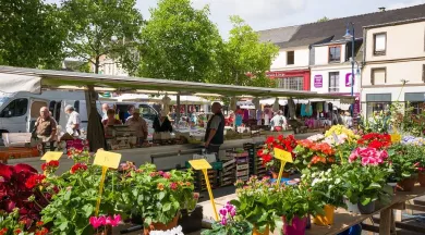 marché de Mayenne - Laura REMOUE - office de tourisme Vallée de Haute Mayenne