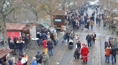 Marché de Noël de Mayenne - Florent Thouanel