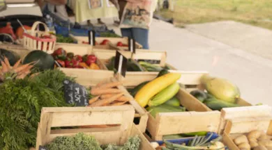 Marché des Epiés Bonchamp 007  - ©Pascal Beltrami-Laval Tourisme