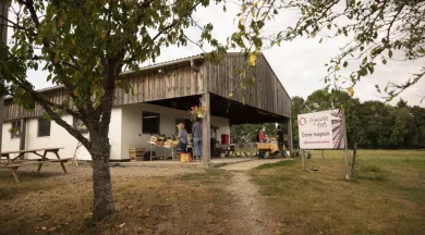 Marché des Epiés Bonchamp 008  - ©Pascal Beltrami-Laval Tourisme