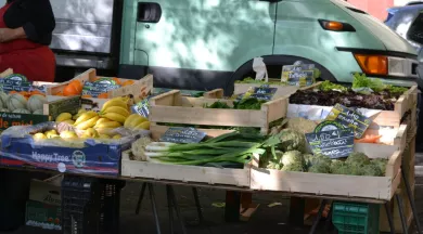 Marché (11) - ©Laval Tourisme