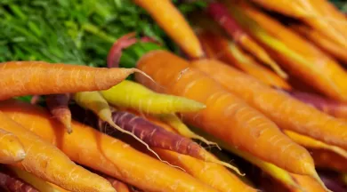 Marché de la Naillère - Argentré - Laval Tourisme - Laval Tourisme