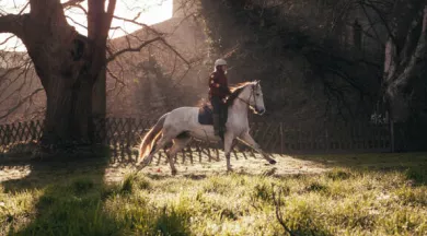 Le château lâche les chevaux !_Longuenée-en-Anjou_2 - ©Guillaume Gozard