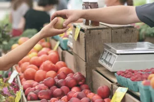 marché - Bocage Mayennais Tourisme