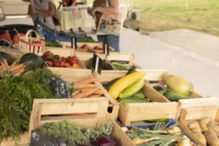 Marché des Epiés Bonchamp 007  - ©Pascal Beltrami-Laval Tourisme