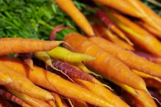 Marché de la Naillère - Argentré - Laval Tourisme - Laval Tourisme