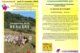 ciné-rencontre la réponse de la Bergère - © CRIDES - Les 3 Mondes