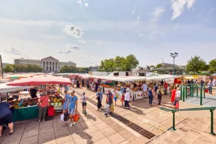 marche-place-leclerc-angers-alexandre-lamoureux-2708119_1 - Alexandre Lamoureux - Destination Angers