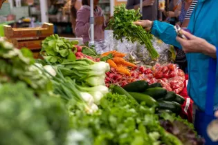 Marché du Jardin de Cocagne - ©mikola249